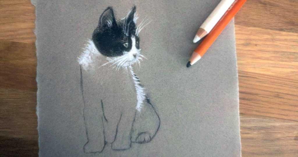 como dibujar un gato