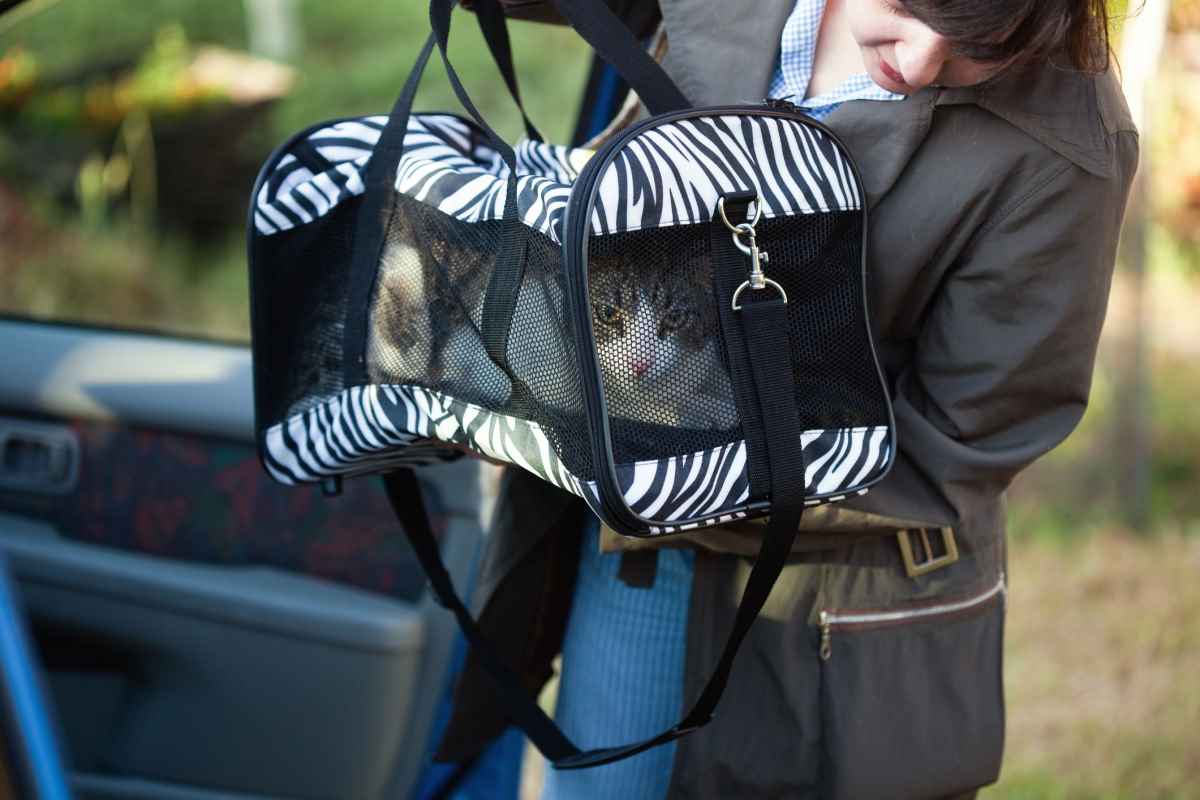¡Traveling in a Carrier